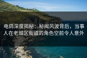 电鸽深度揭秘：秘闻风波背后，当事人在老城区街道的角色空前令人意外