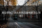 真没想到，汤头条网页版也能这么愤怒？