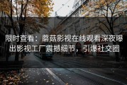 限时查看：蘑菇影视在线观看深夜曝出影视工厂震撼细节，引爆社交圈
