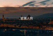欧美人狗