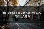 你以为的汤头条免费观看只是表面，真相让人感动