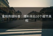 蜜桃传媒科普：爆料背后10个细节真相