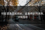 明星遭遇丑闻揭秘，鉴黄师全网沸腾，详情围观