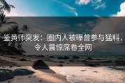 鉴黄师突发：圈内人被曝曾参与猛料，令人震惊席卷全网