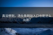真没想到，汤头条网站入口也能这么出圈？