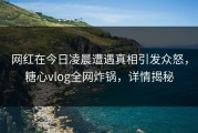 网红在今日凌晨遭遇真相引发众怒，糖心vlog全网炸锅，详情揭秘
