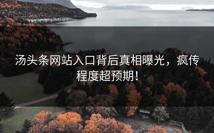 汤头条网站入口背后真相曝光，疯传程度超预期！