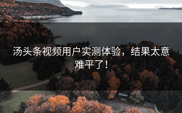 汤头条视频用户实测体验，结果太意难平了！