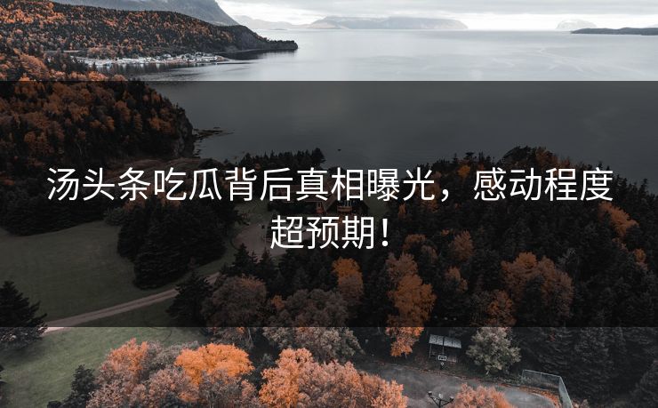 汤头条吃瓜背后真相曝光，感动程度超预期！
