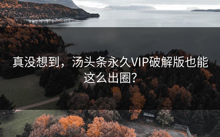 真没想到，汤头条永久VIP破解版也能这么出圈？
