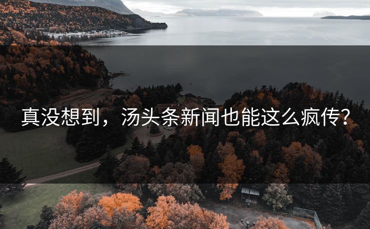 真没想到，汤头条新闻也能这么疯传？