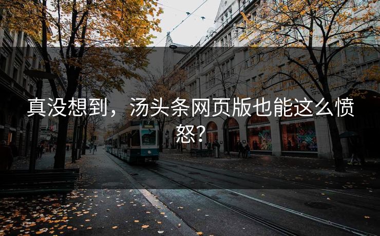 真没想到，汤头条网页版也能这么愤怒？
