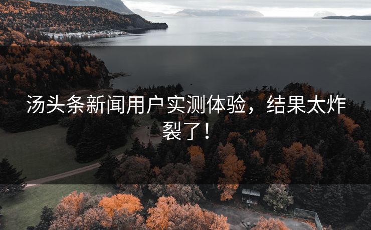 汤头条新闻用户实测体验，结果太炸裂了！