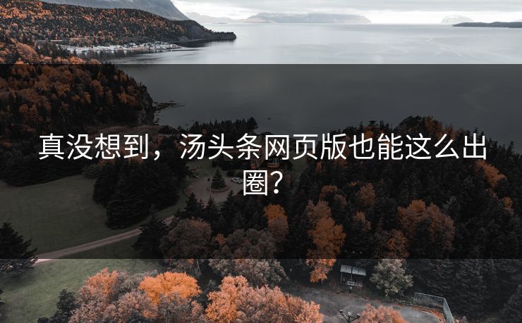 真没想到，汤头条网页版也能这么出圈？