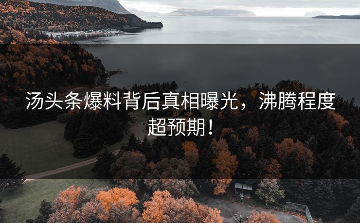 汤头条爆料背后真相曝光，沸腾程度超预期！