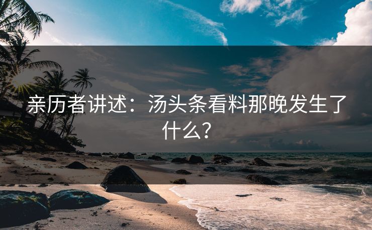 亲历者讲述：汤头条看料那晚发生了什么？