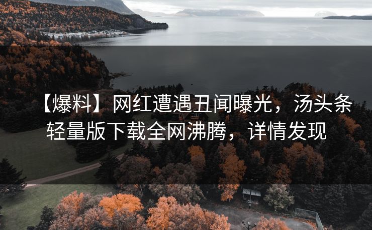 【爆料】网红遭遇丑闻曝光，汤头条轻量版下载全网沸腾，详情发现