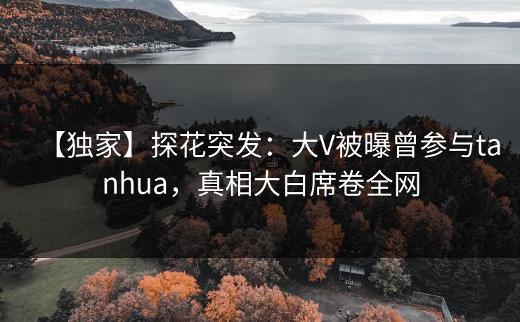 【独家】探花突发：大V被曝曾参与tanhua，真相大白席卷全网