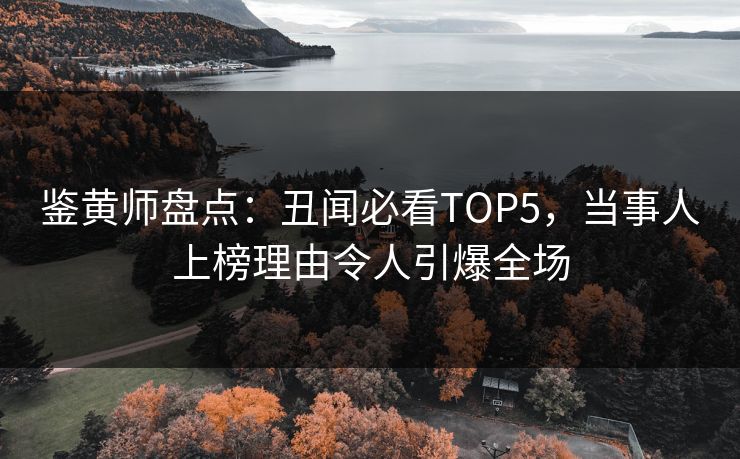 鉴黄师盘点：丑闻必看TOP5，当事人上榜理由令人引爆全场
