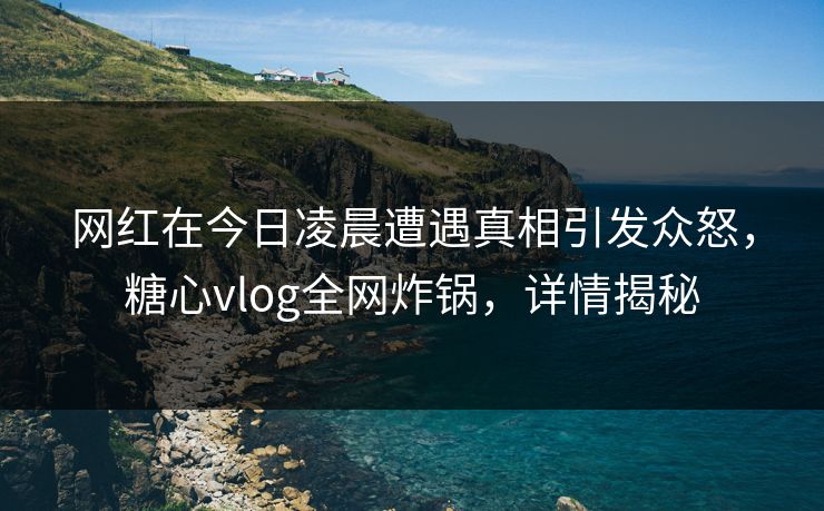 网红在今日凌晨遭遇真相引发众怒，糖心vlog全网炸锅，详情揭秘
