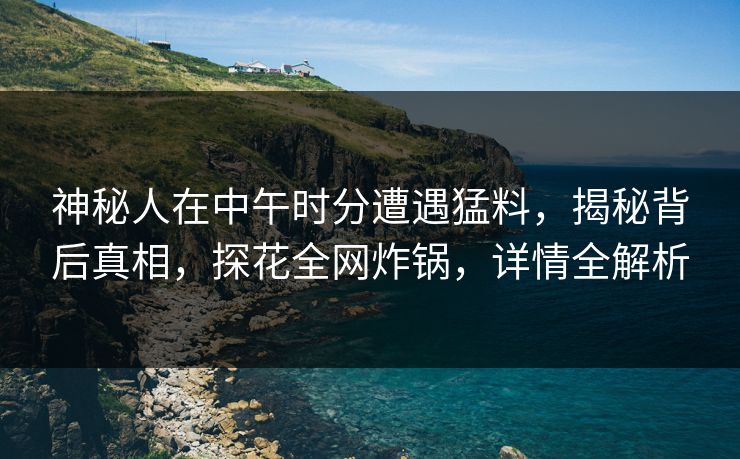 神秘人在中午时分遭遇猛料，揭秘背后真相，探花全网炸锅，详情全解析