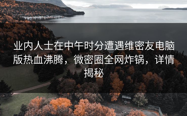 业内人士在中午时分遭遇维密友电脑版热血沸腾，微密圈全网炸锅，详情揭秘