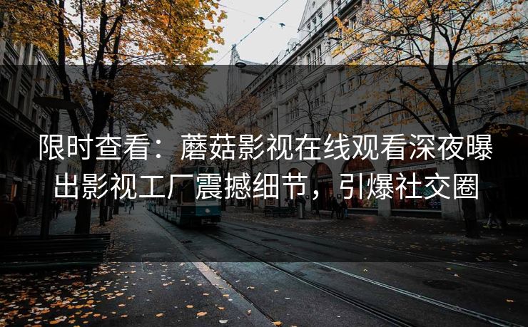限时查看：蘑菇影视在线观看深夜曝出影视工厂震撼细节，引爆社交圈