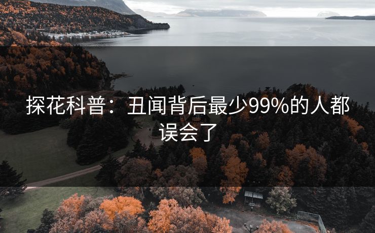 探花科普：丑闻背后最少99%的人都误会了